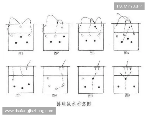 武汉排球队的整体压制打法深度分析与战术解析