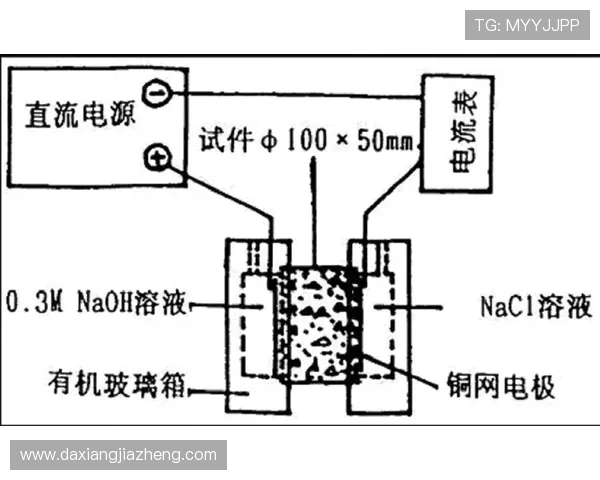 广州乒乓球队边路渗透战术分析及其对比赛结果的影响探讨 广州乒乓球队边路渗透战术分析及其对比赛结果的影响探讨