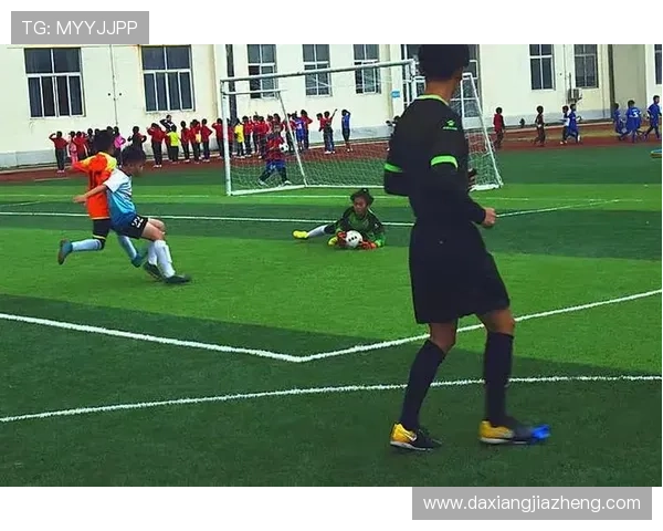 足球明星福原爱：从绿茵场到人生舞台的精彩转身与奋斗故事