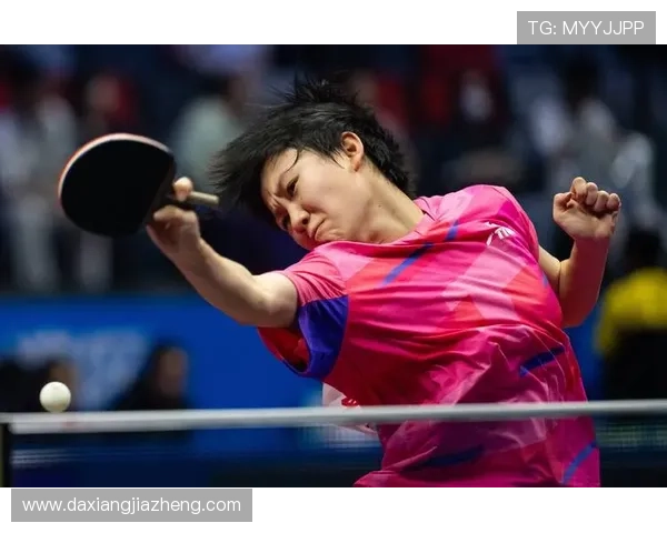 乒乓球团队协作实力榜单揭晓深圳乒乓球队荣获第五名佳绩