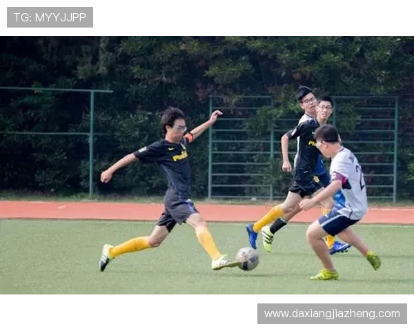 彩虹足球明星的魅力与成就探秘,谁是球场上的闪耀之星 彩虹足球明星的魅力与成就探秘,谁是球场上的闪耀之星